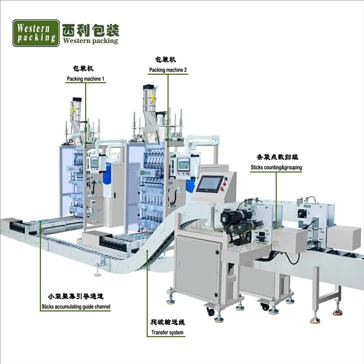 Dry Powder Stick Sachet Automatic Cartooning Machine best