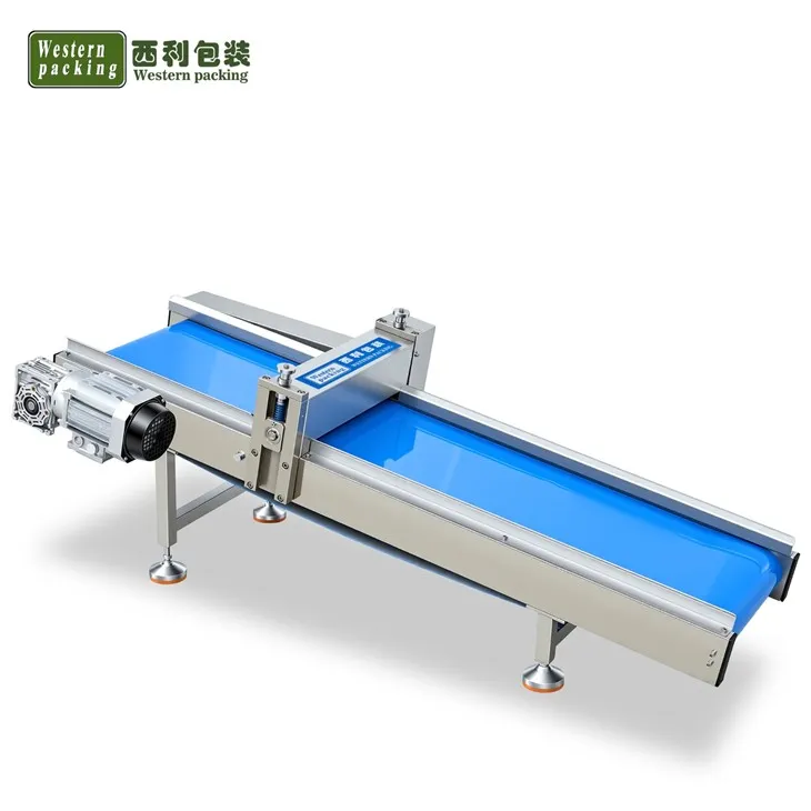 conveyor belt for sale